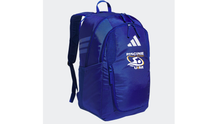 Load image into Gallery viewer, Piscine Stadium 4 Backpack
